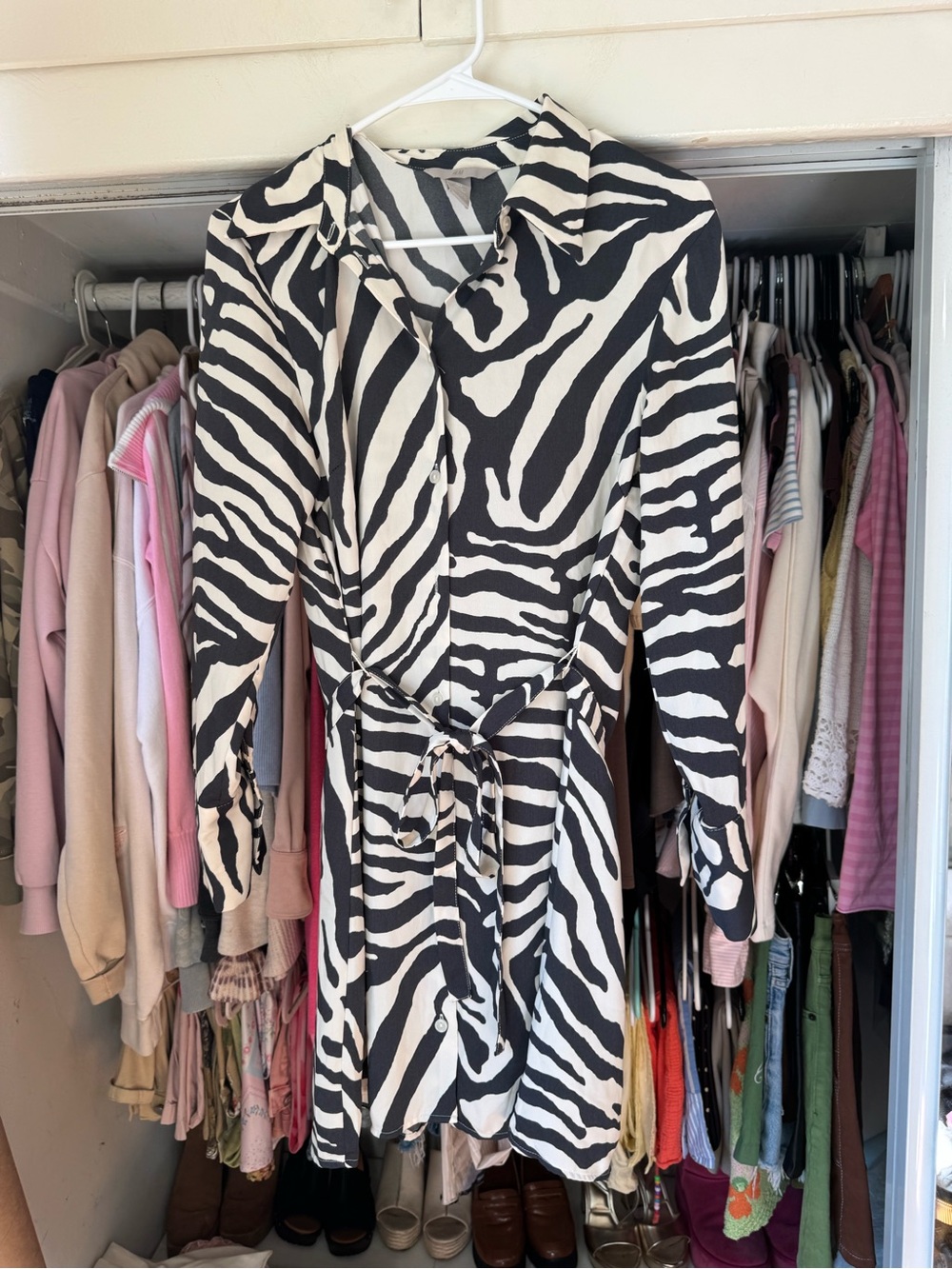 H&M Black & White Zebra-Stripe Button-Front Dress